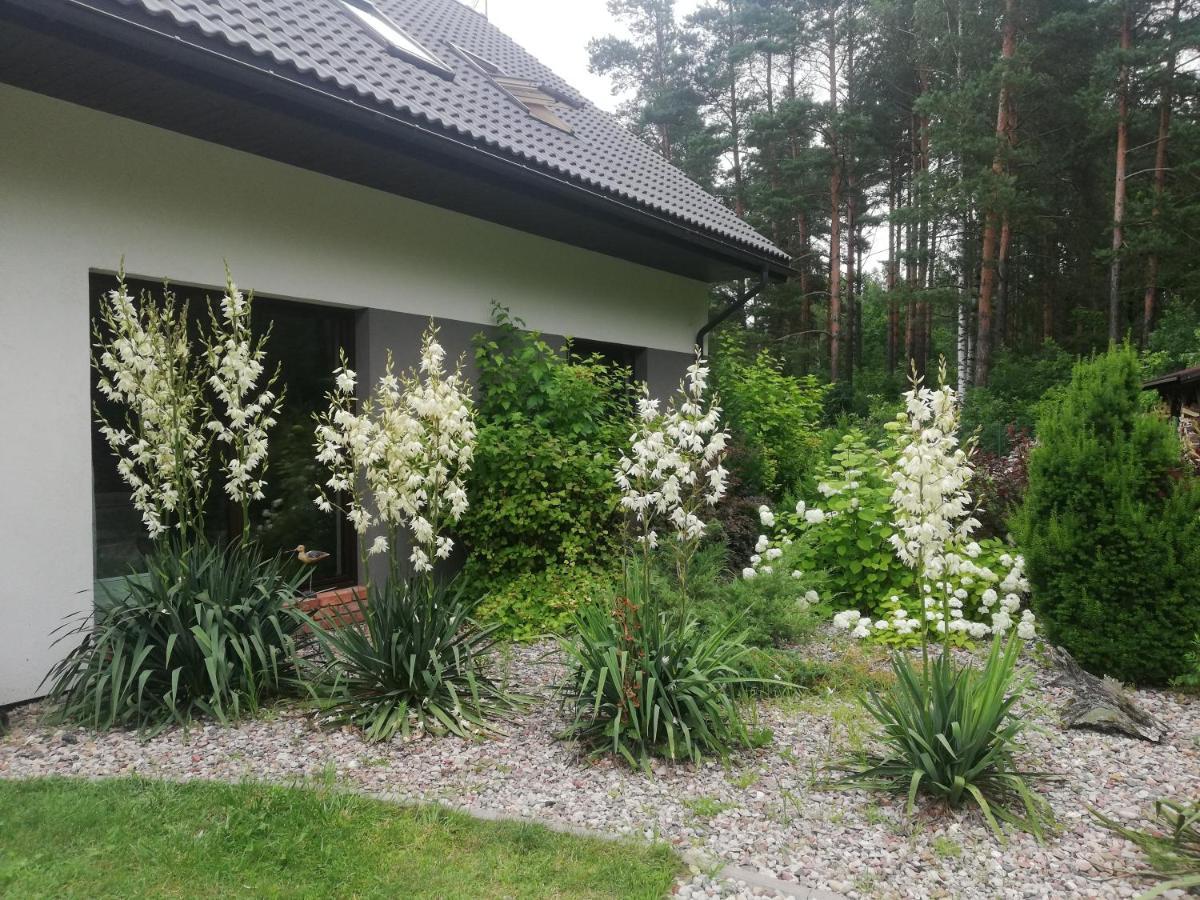 Cudodomek Spa W Mrozach Wielkich Kolo Elku エクステリア 写真